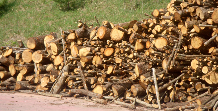 Legna da ardere: le fasi di combustione