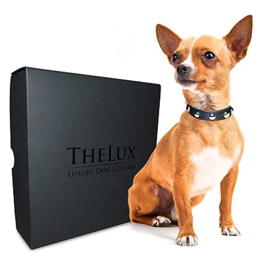 Il lusso è per tutti con i nuovi collari TheLux